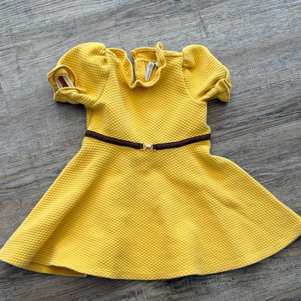 Janie and Jack Sunny Yellow Dress with Chocolate Belt